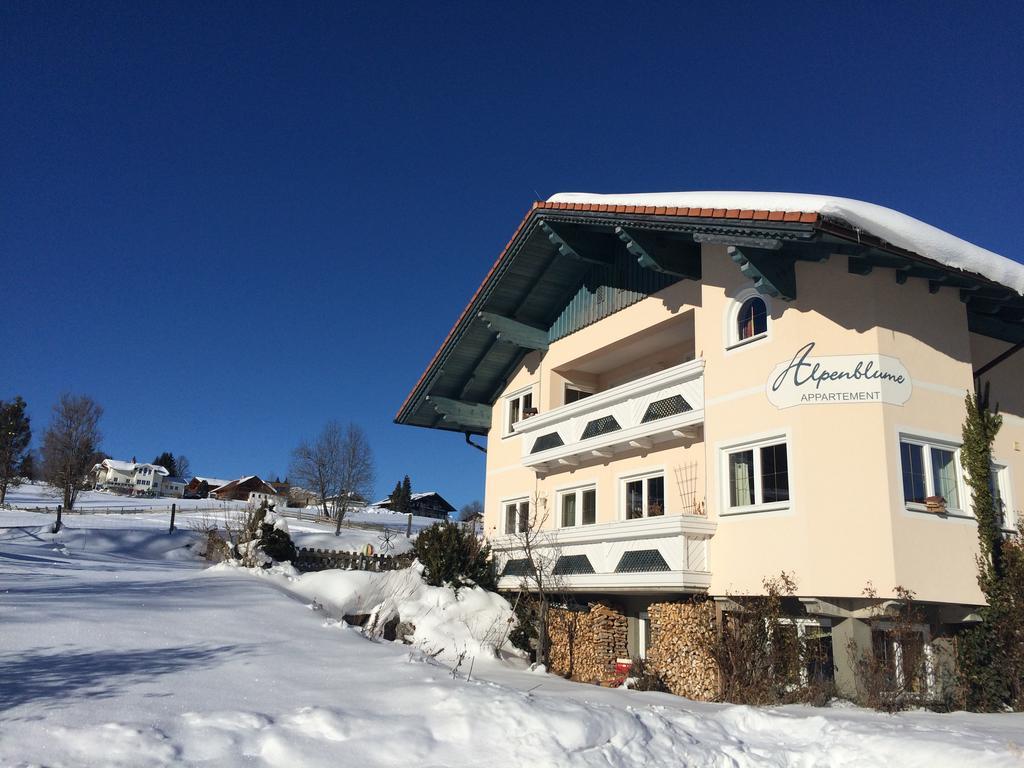 Appartement Alpenblume Schladming Exterior photo